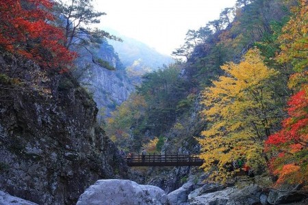 寺谷渓谷（절골계곡）