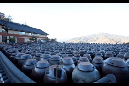 Gwangyang Cheong Maesil Farm 