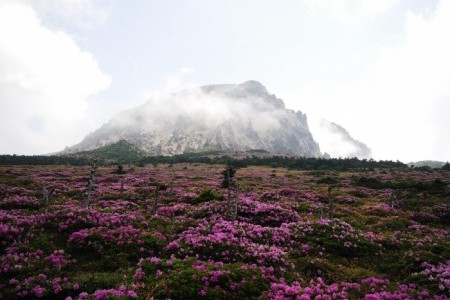 世界遺産祭り-「済州火山島と溶岩洞窟」（세계유산 축전 - '제주 화산섬과 용암동굴' ）