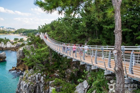 湫岩つり橋