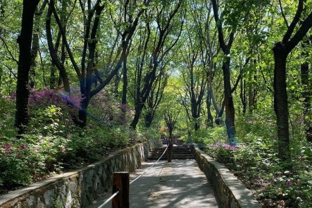 忘憂里市民公園（망우리 시민공원）