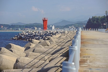 大津港（대진항）