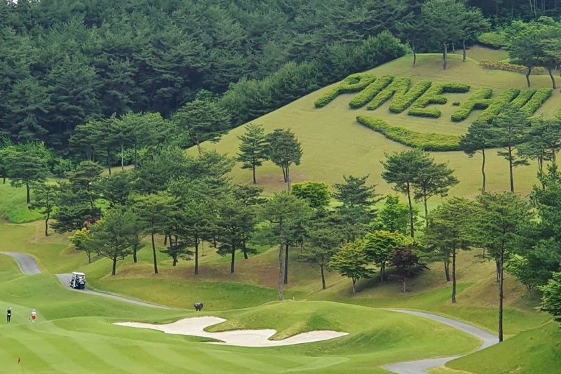 Pine Hills Country Club | 파인힐스 컨트리클럽 : TRIPPOSE