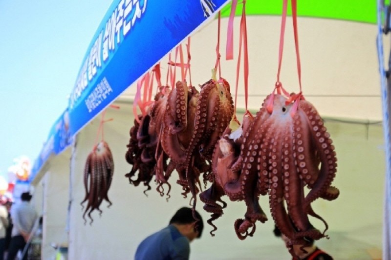 Homigot Octopus Festival | 호미곶 돌문어축제 : TRIPPOSE