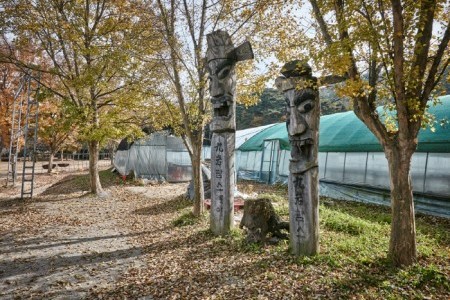 龟岩FarmStay村