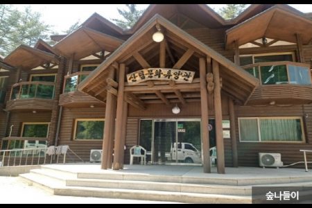 Taebaek Highland Natural Recreational Forest 