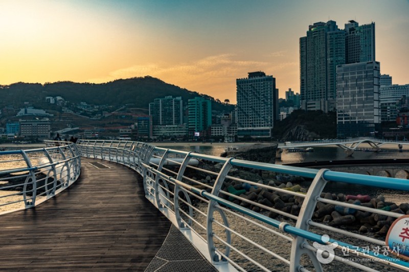 Songdo Cloud Trails Skywalk                                                                                 