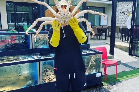 鏡浦台ゾニョク刺身専門店 