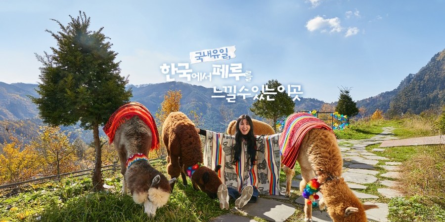 AlpacaWorld Ticket – Korea’s Popular Multi-Animal Park & Performance